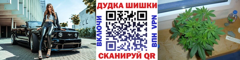 купить наркотики сайты  Сурск  Каннабис OG Kush 